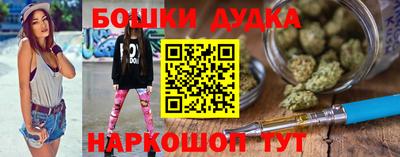 гашик Сланцы