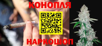 гашик Сланцы