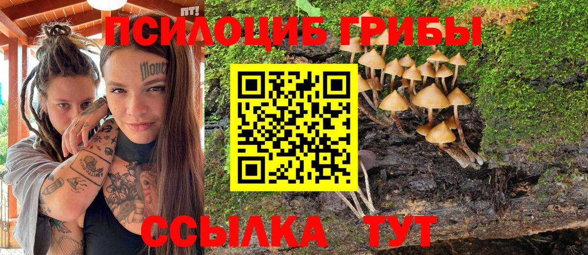 Галлюциногенные грибы MAGIC MUSHROOMS  Вход с VPN  Псилоцибиновые грибы мухоморы  Новозыбков 