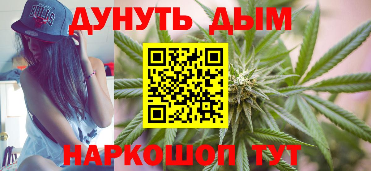 Марихуана OG Kush  Канабис Amnesia  Новозыбков  Вход с VPN  Бошки марихуана конопля 